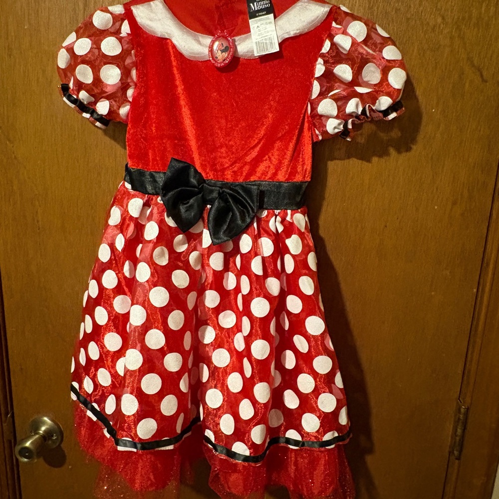Disney Red and White Minnie Mouse Costume